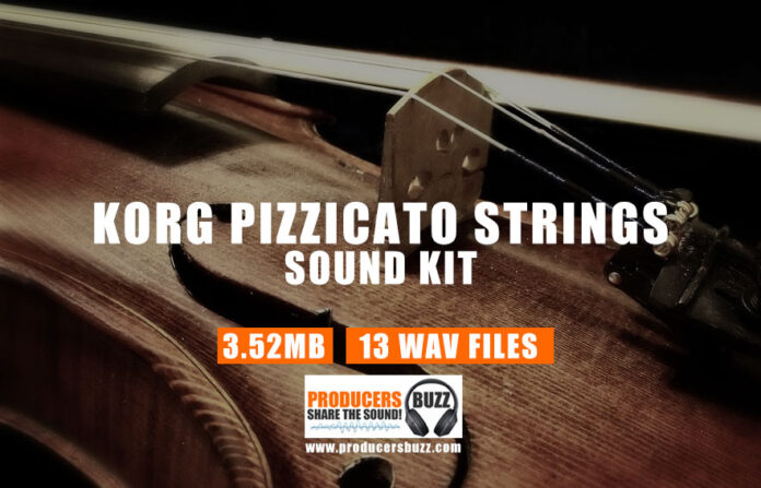 Korg Pizzicato Strings | Korg Pizzicato Sample Loop Sounds