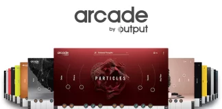 How Much Does Arcade VST Cost? How Much Does Arcade VST Cost