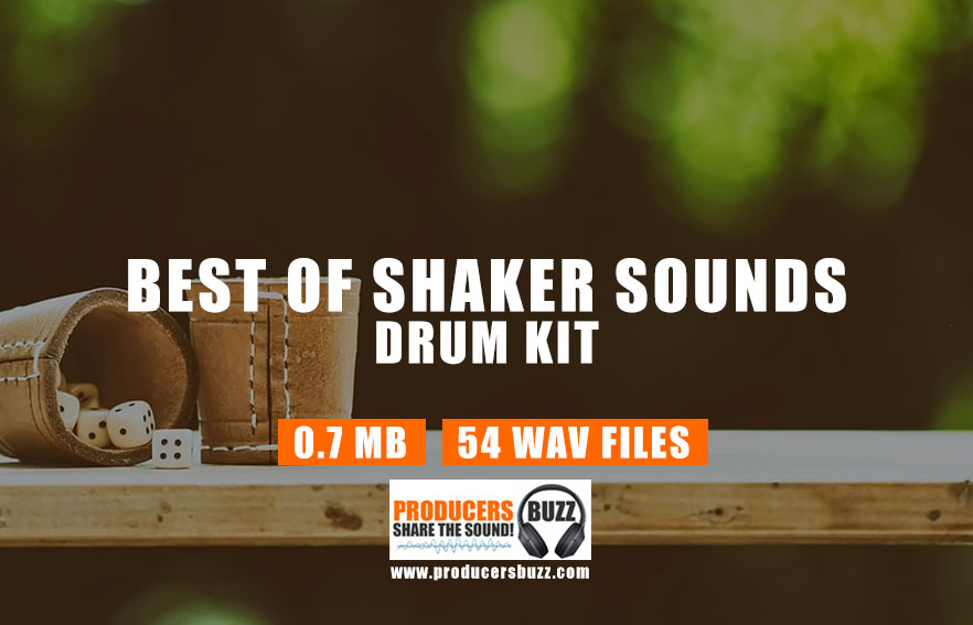 Shaker Sounds Drum Kit