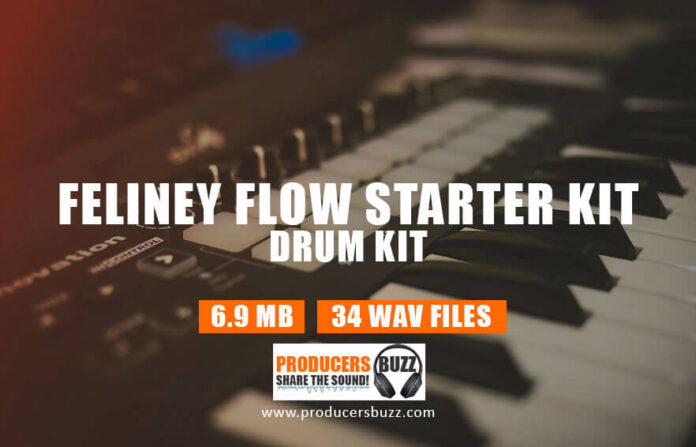Feliney Flow drum samples loops