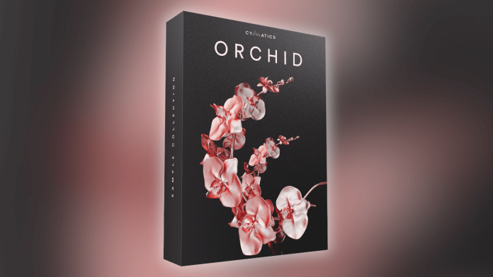 orchid free drum loops